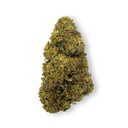 Tropical Haze Pozostałości