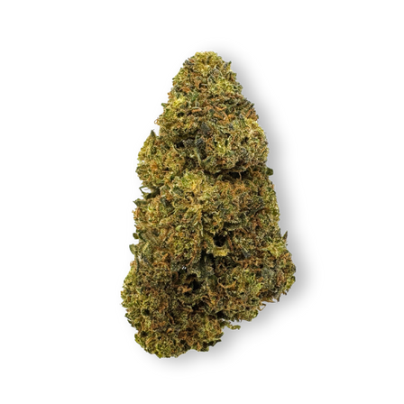 Tropical Haze Pozostałości