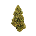Blueberry Haze ecopack