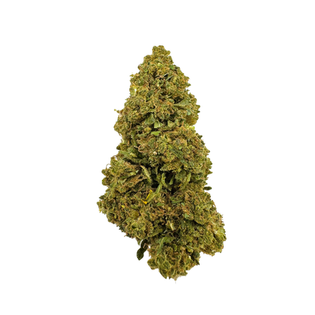 Blueberry Haze ecopack