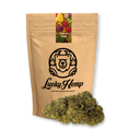 Tropical Haze Pozostałości