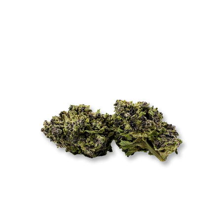 Purple CBG Ecopack