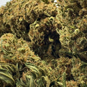 Lemon OG Ecopack