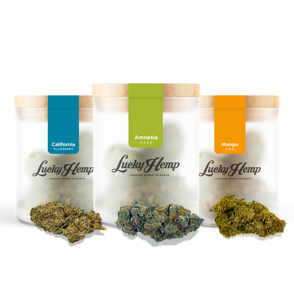 3 zestaw degustacyjny premium kwiaty Lucky Hemp   