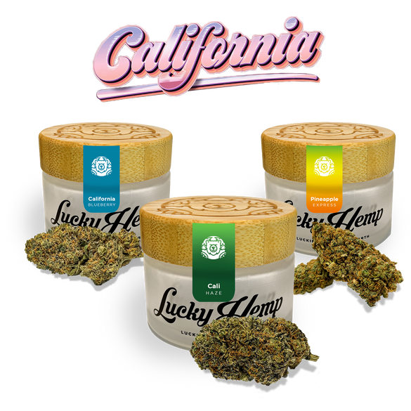 Cali Set Kwiaty Lucky Hemp   