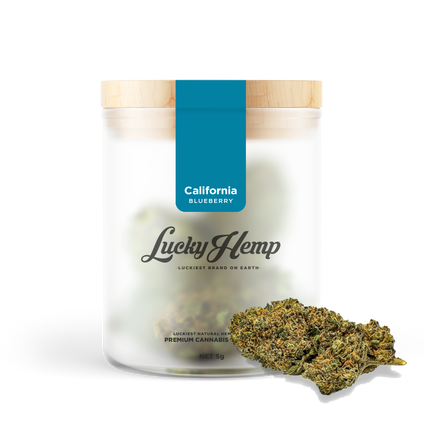 California Blueberry Kwiaty Lucky Hemp   