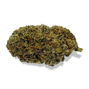 California Haze Kwiaty Lucky Hemp   