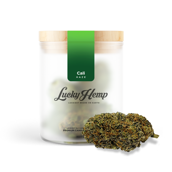 California Haze Kwiaty Lucky Hemp   