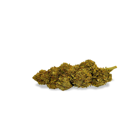 Orange Bud Ecopack Flowers Lucky Hemp   