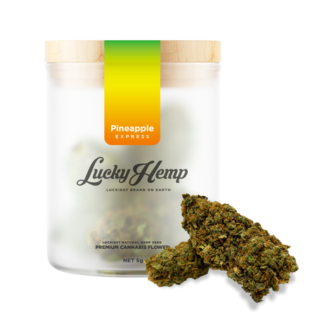 Cali Set Kwiaty Lucky Hemp   