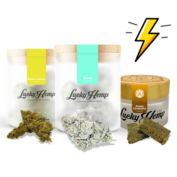 Power Pack Kwiaty Lucky Hemp   