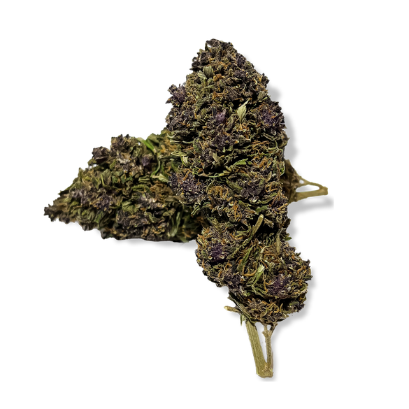 Purple Haze Kwiaty Lucky Hemp   