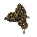 Purple Haze Ecopack Flowers Lucky Hemp   