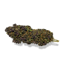 Purple Haze Ecopack Flowers Lucky Hemp   