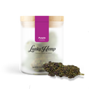 Purple Haze Kwiaty Lucky Hemp   