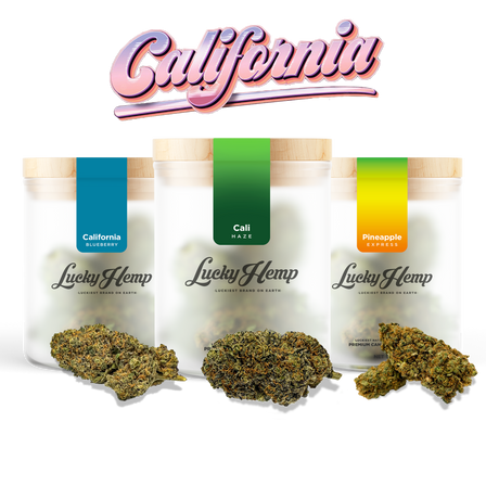 Cali Set Kwiaty Lucky Hemp   