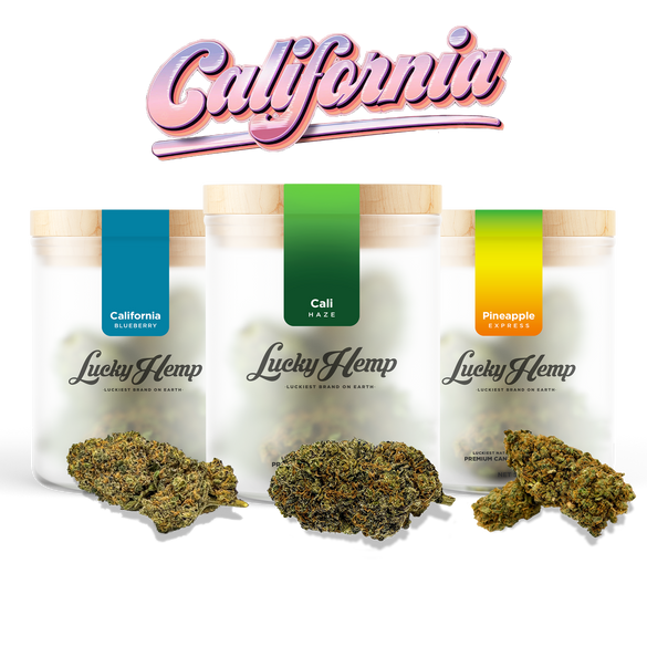 Cali Set Kwiaty Lucky Hemp   