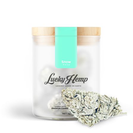 Zestaw testowy Flowers Lucky Hemp   