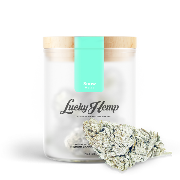 Zestaw testowy Flowers Lucky Hemp   