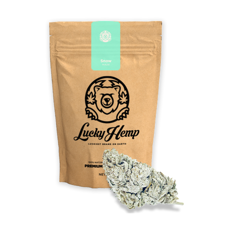 Power Pack Ecopack Flowers Lucky Hemp   