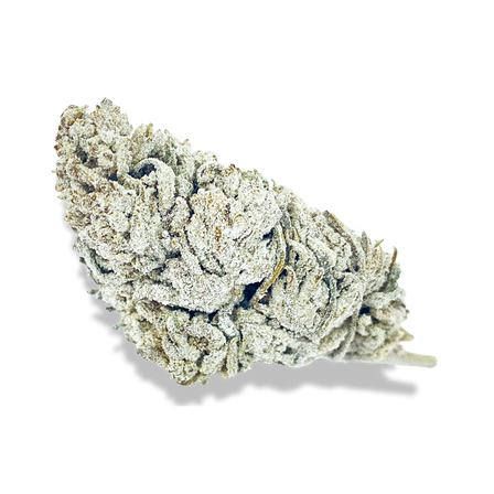 Snow Haze® 41% CBD ecopack kwiaty Lucky Hemp   