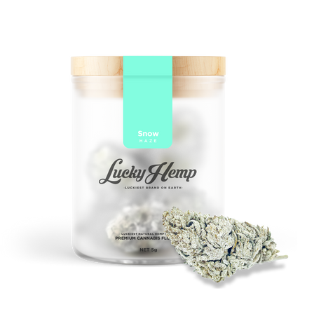 High CBD Zestaw degustacyjny Kwiaty Lucky Hemp   