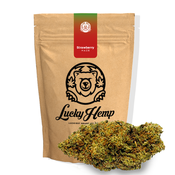 Zestaw testowy Ecopack Flowers Lucky Hemp   