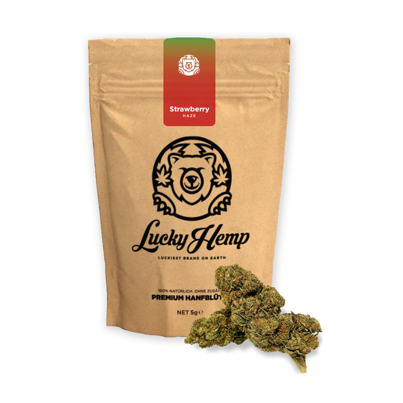 Strawberry HAze Ecopack Flowers Lucky Hemp   