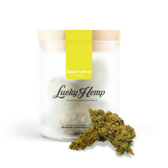 Power Pack Kwiaty Lucky Hemp   